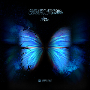 二次元，人物羞羞做爱视频
