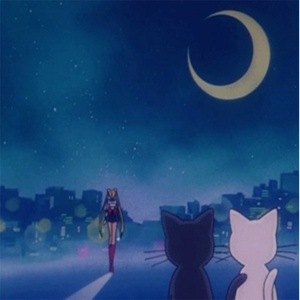 二次元，人物羞羞做爱视频
