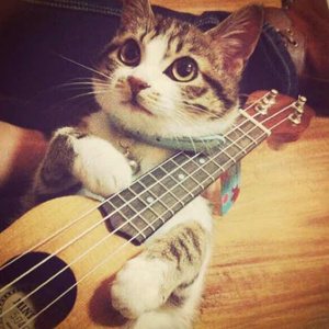 二次元，人物羞羞做爱视频
